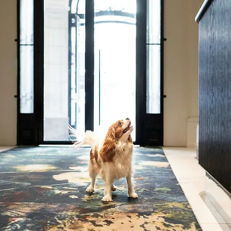 Sapphire House Antwerp, Autograph Collection By Marriott 5*